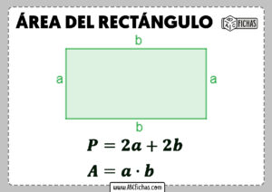 Area del rectangulo