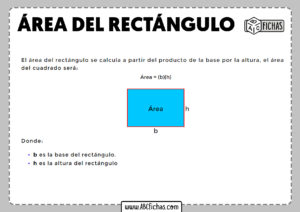 Como calcular el area del rectangulo