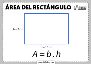 Formula area del rectangulo