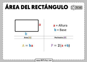 Formula area y perimetro del rectangulo