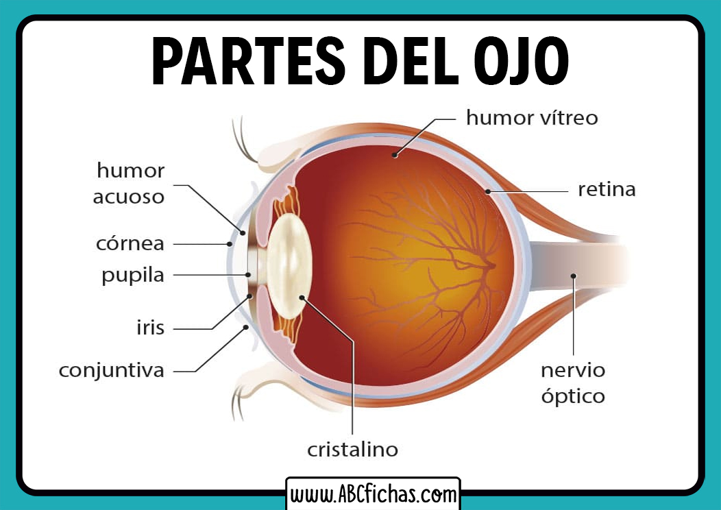 Qué significa el ojo turco