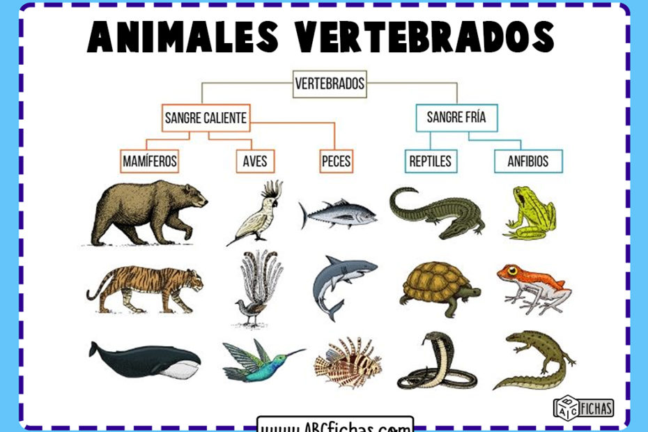 Animales vertebrados