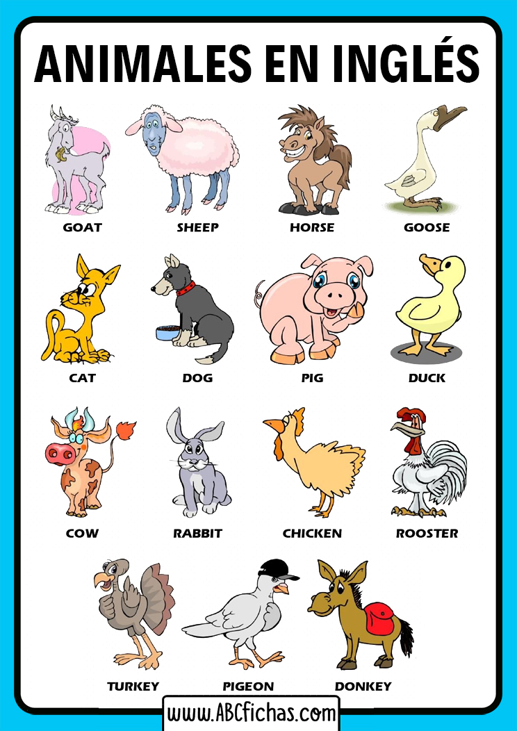 Animals vocabulary for kids