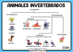 Clasificacion animales invertebrados para niños