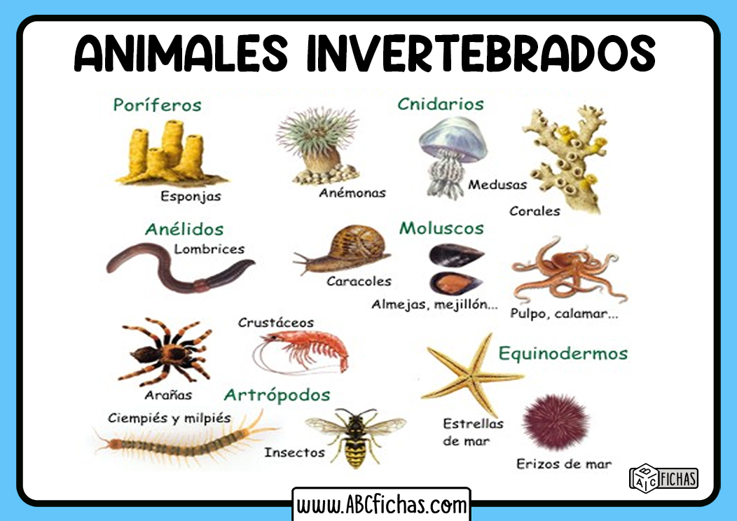 Los animales vertebrados son