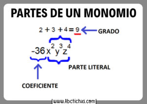 Estructura de un monomio