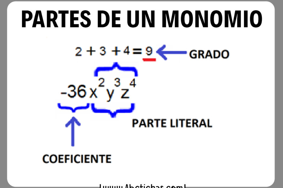 Estructura de un monomio