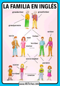 La familia vocabulario en ingles
