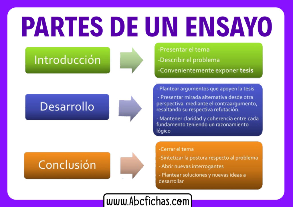 Las Partes De Un Ensayo Abc Fichas