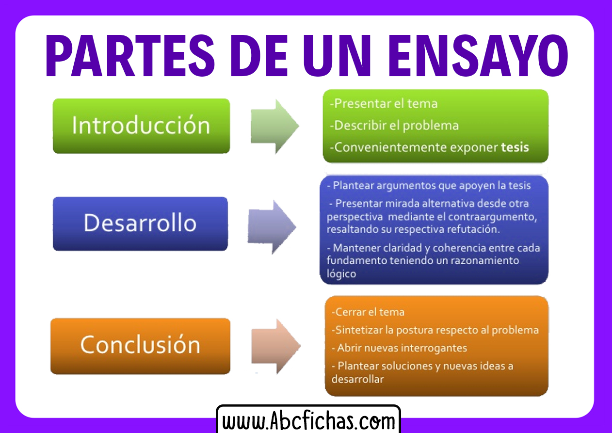 partes del essay