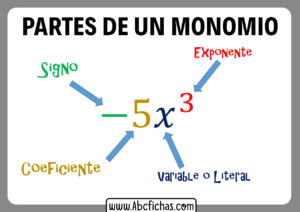 Las partes de un monomio