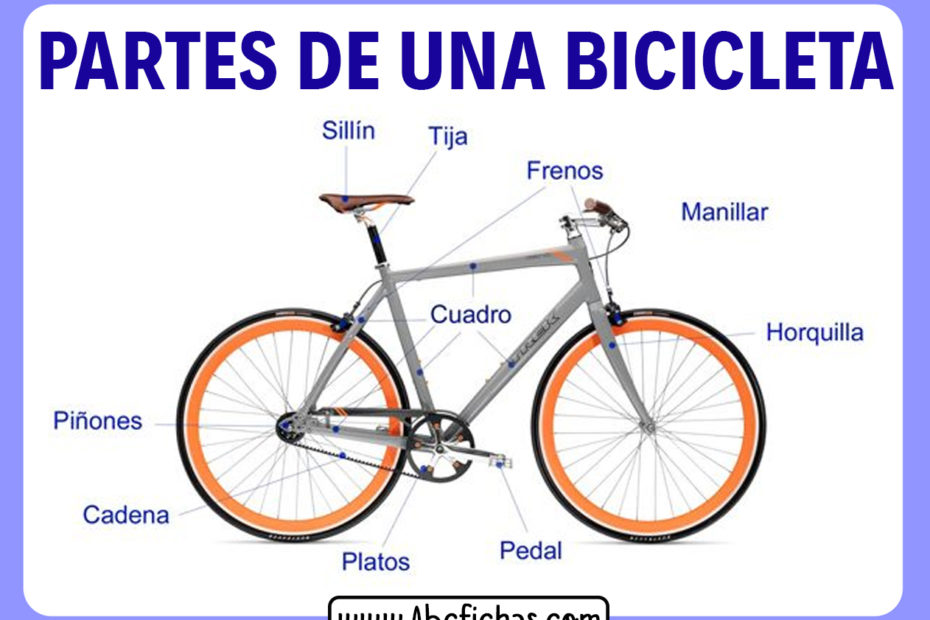 Las partes de una bicicleta