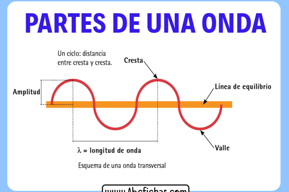 Las partes de una onda