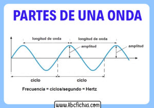 Longitud y amplitud de onda