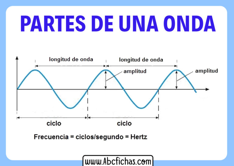 Longitud Y Amplitud De Onda Abc Fichas 5003