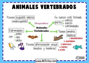 Los animales vertebrados