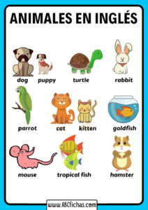 Los animales en ingles