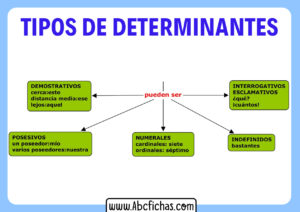 Los tipos de determinantes