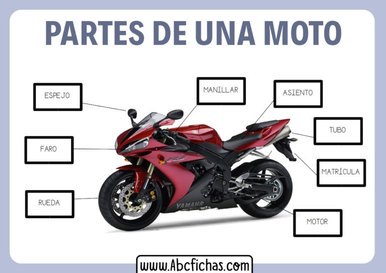 Partes principales de una moto ABC Fichas Partes principales de una moto ABC Fichas