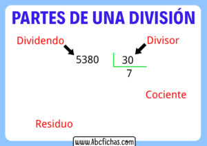 Partes de la division