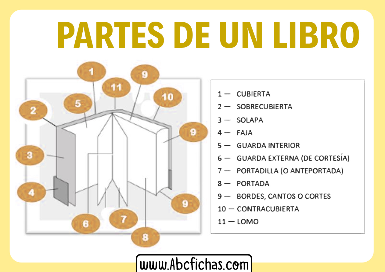 Que Es Estructura De Un Libro Arbol