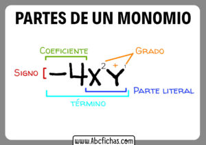 Partes de un monomio