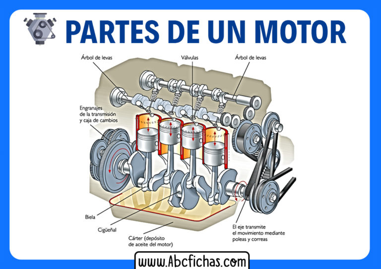 Estructura Y Las Partes De Un Motor De Automóvil