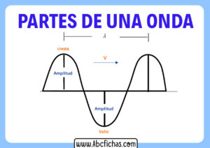 Partes de una onda