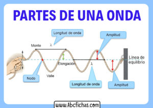 Partes de una onda longitud y amplitud