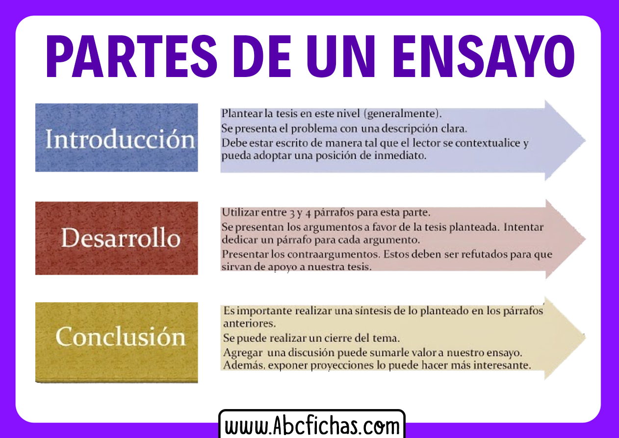 Las Partes De Un Ensayo