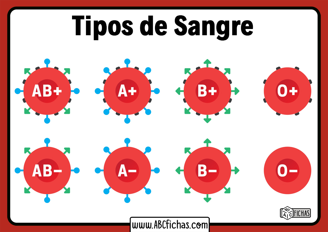 Que grupos sanguineos existen tipos