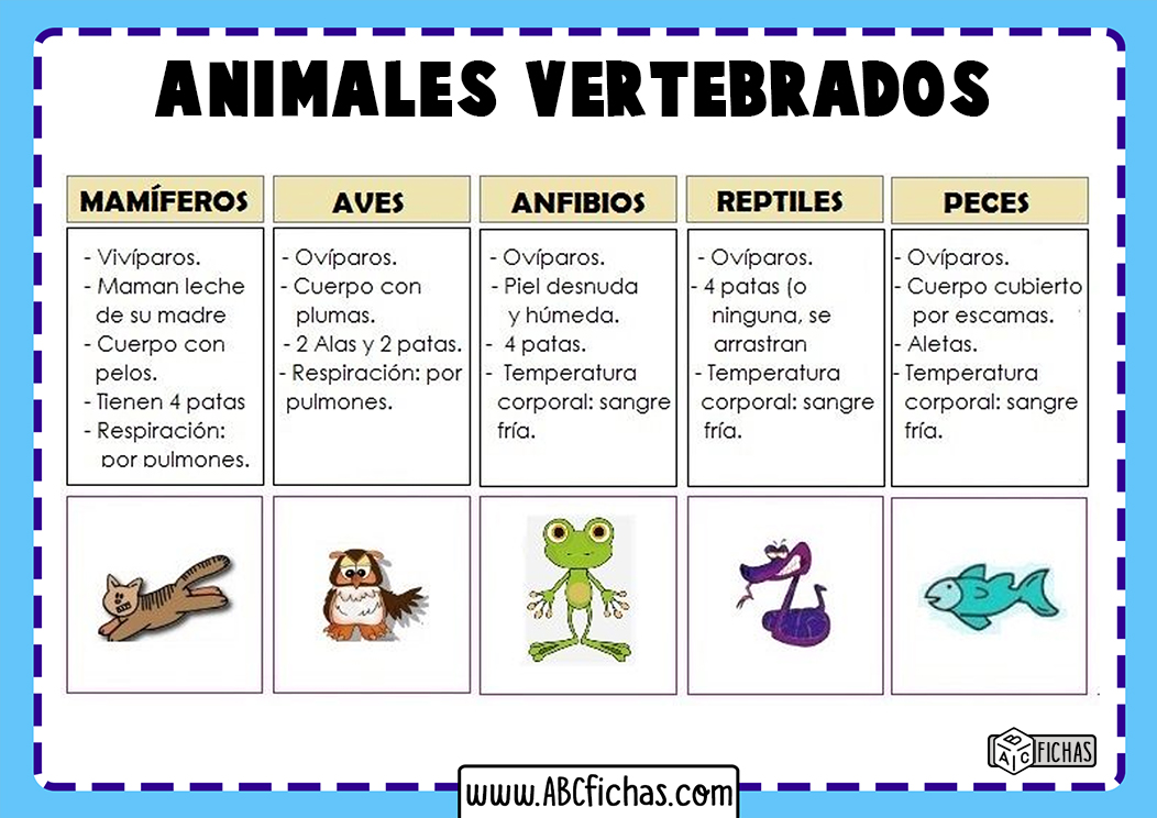 Tipos de animales vertebrados