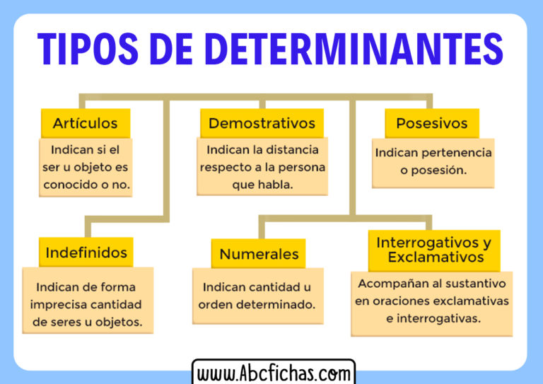 Clasificacion Y Tipos De Determinantes Abc Fichas Ima - vrogue.co
