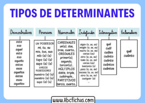 Tipos de determinantes y ejemplos