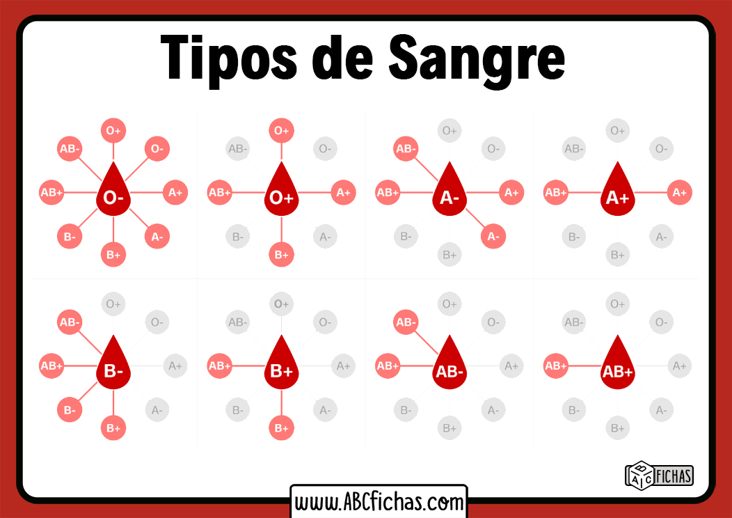 Tipos de grupos sanguineos