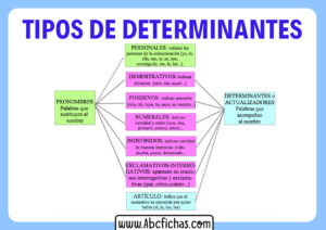 Tipos de pronombres determinantes