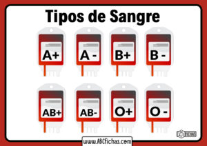 Tipos de sangre grupos sanguineos