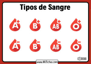 Tipos de sangre diferentes