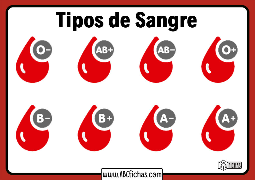 Tipos de Sangre y Grupos Sanguíneos que existen