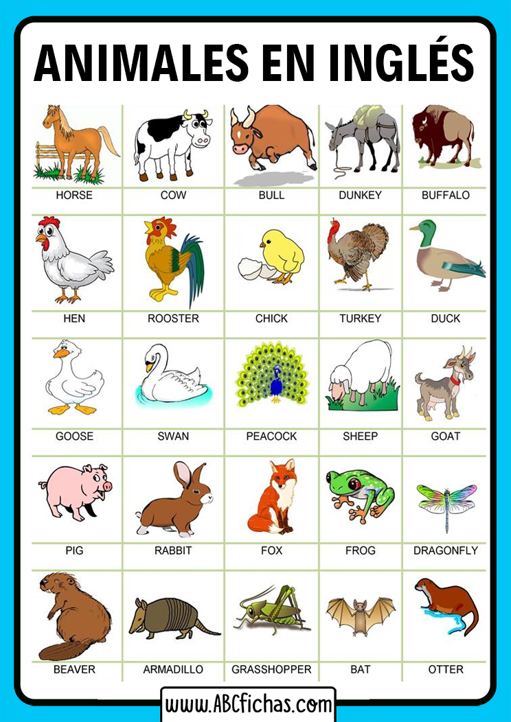 Voabulario animales en ingles para niños