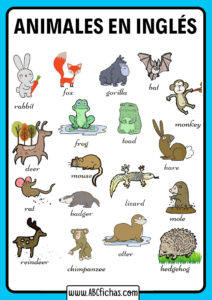 Vocabulario animales en ingles para niños