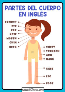 Vocabulario body parts