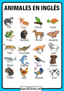 Vocabulario de los animales en ingles