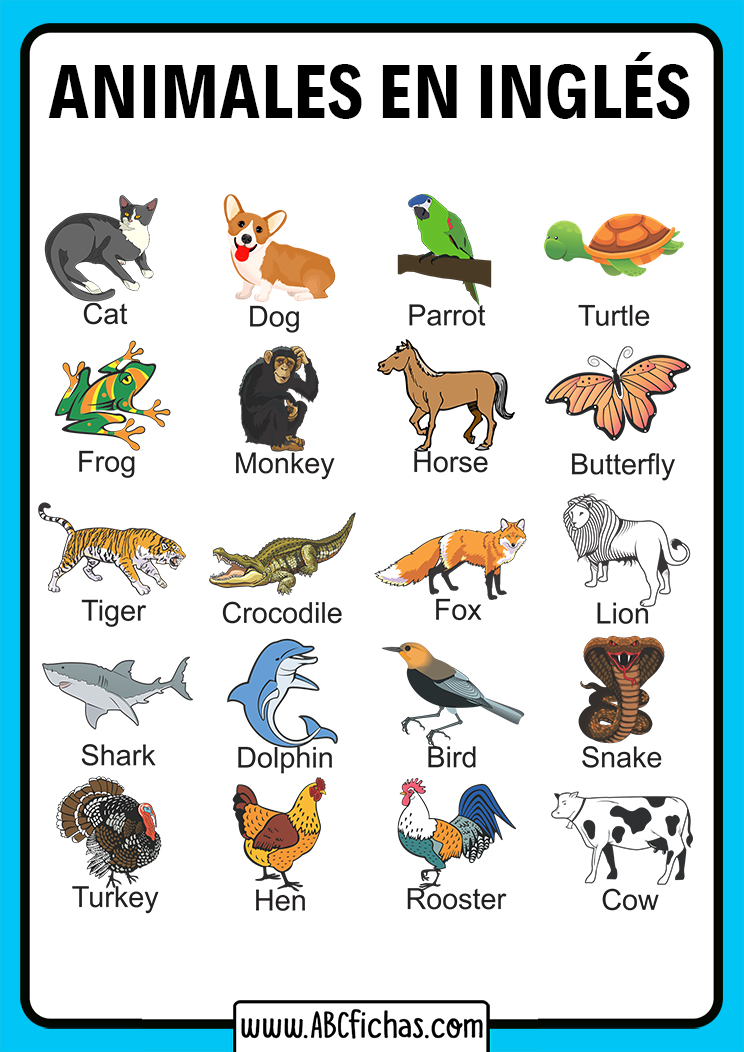 Vocabulario de los animales en ingles