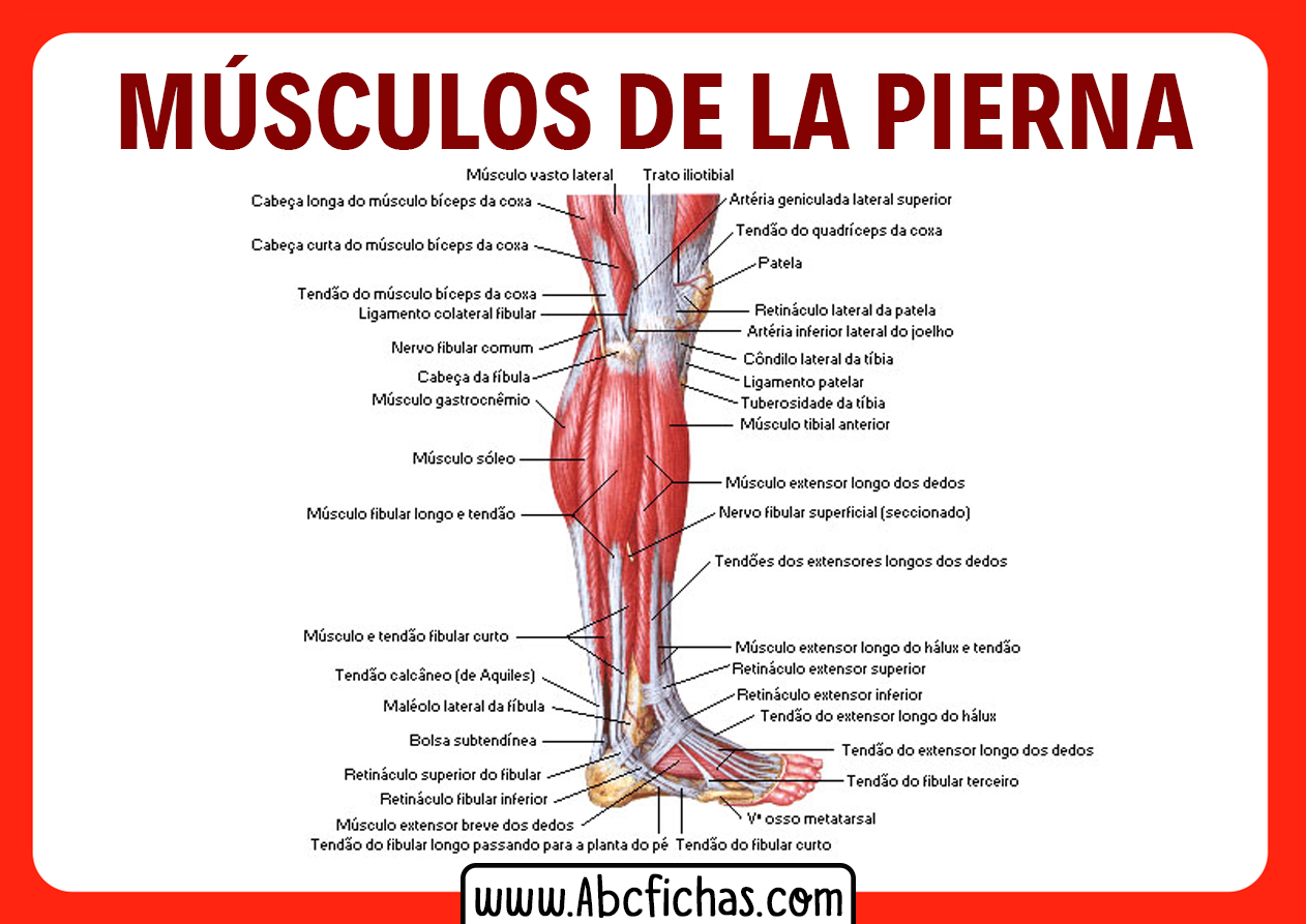 Que significa poner la pierna encima de otra persona