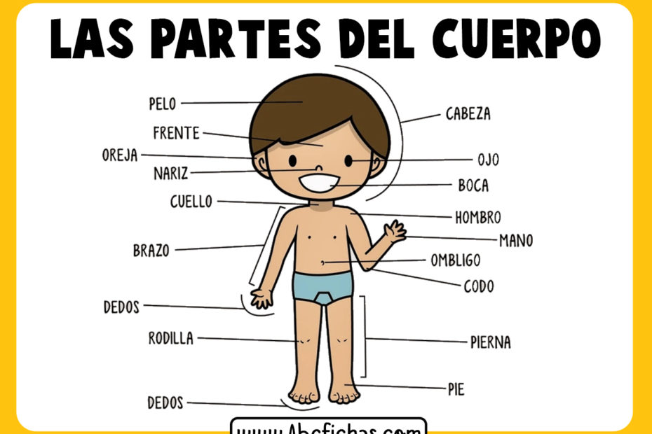 Dibujo de partes del cuerpo para niños