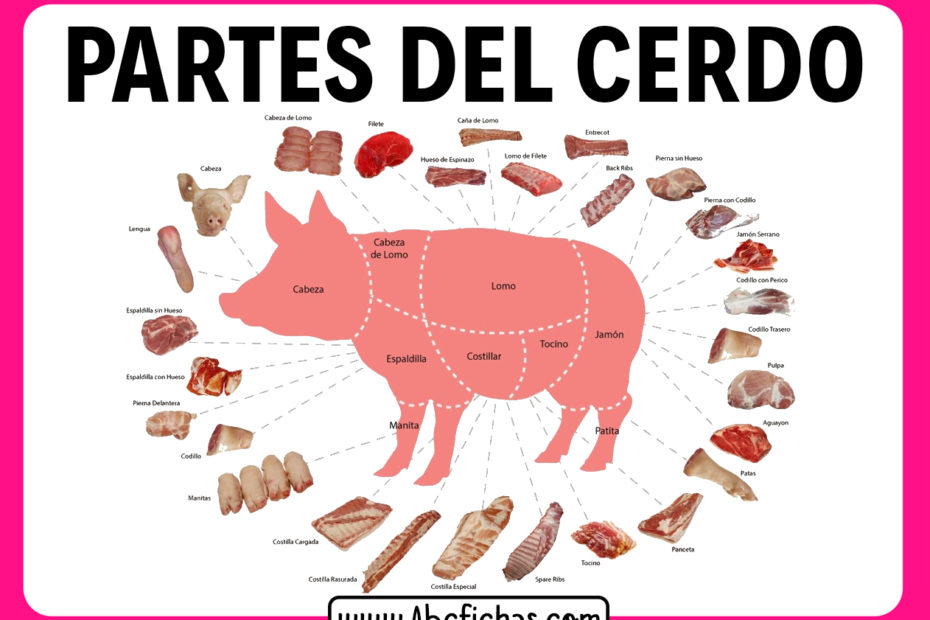 El cerdo y sus partes