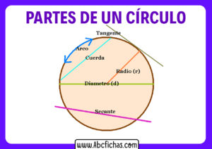 Elementos de la circunferencia