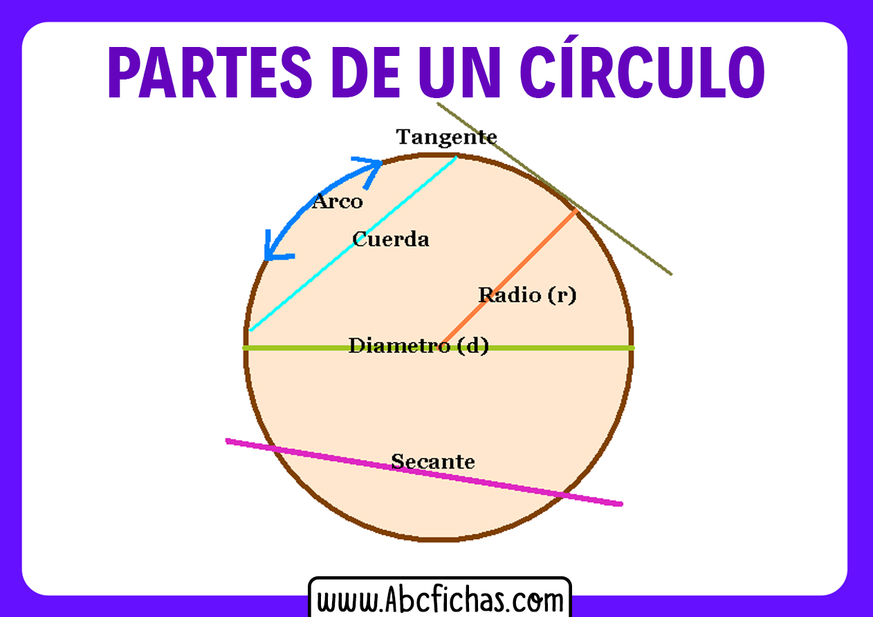 Elementos de la circunferencia