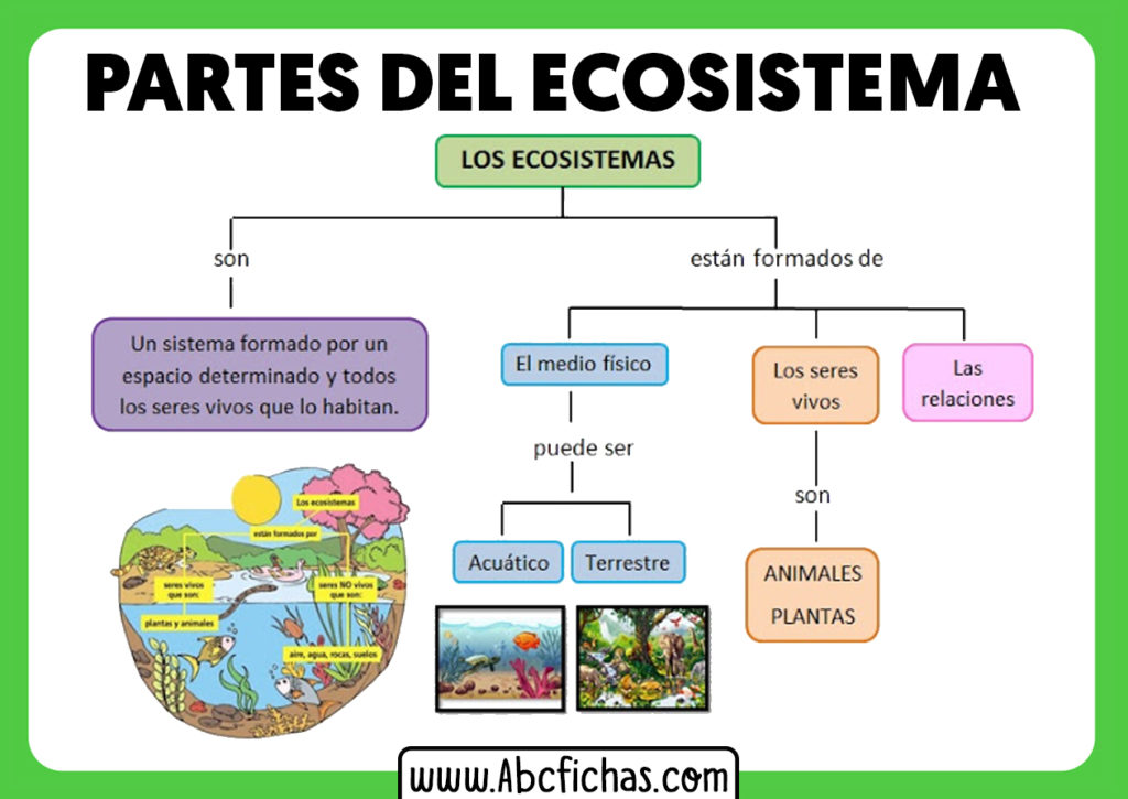 Esquema Tipos De Ecosistemas Abc Fichas Images | Porn Sex Picture